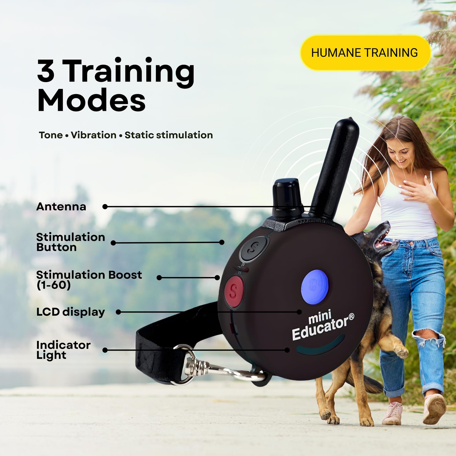 Mini Educator E-Collar ET-300 / ET-302 Dog Training Collar System with Remote -