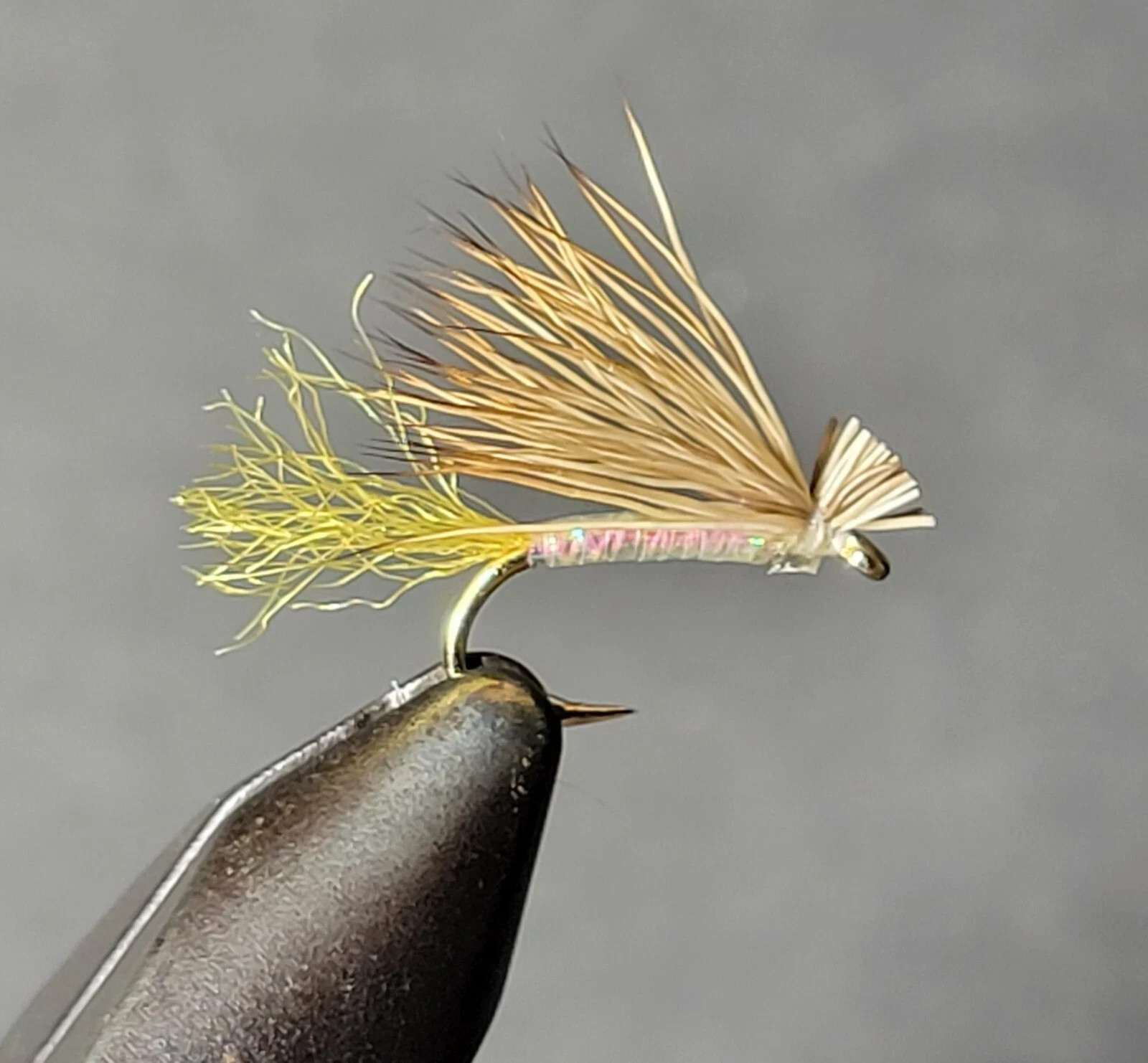 YELLOW X CADDIS Dry Fly Fishing Flies, 1 Fly, You Choose Size
