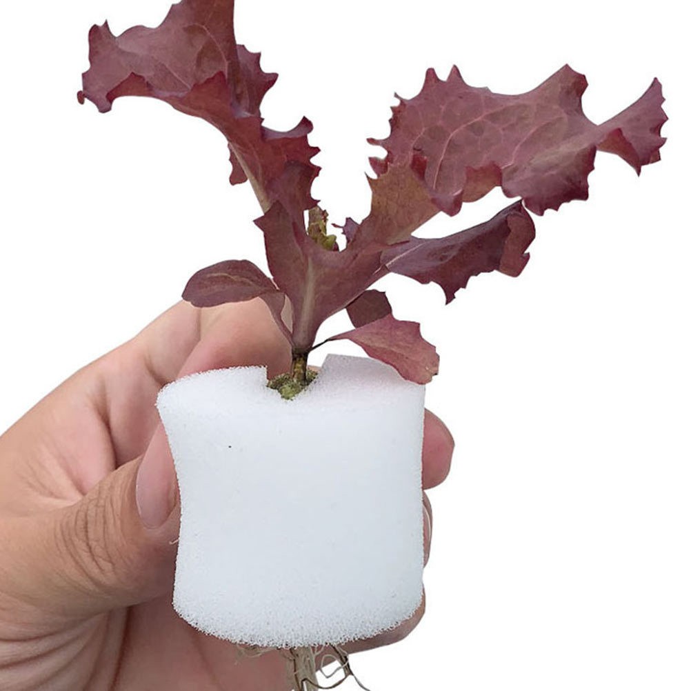 120 Pcs White Soilless Hydroponic Sponge Blocks for Vegetable Growing