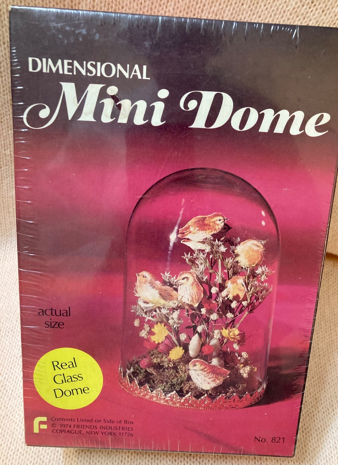 Vintage 1974 Glass Dome BIRD Craft kit Dimensional #821