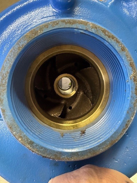 Goulds Water Technology Pump Casing Model 3656 – 2½" x 3½" Volute Housing
