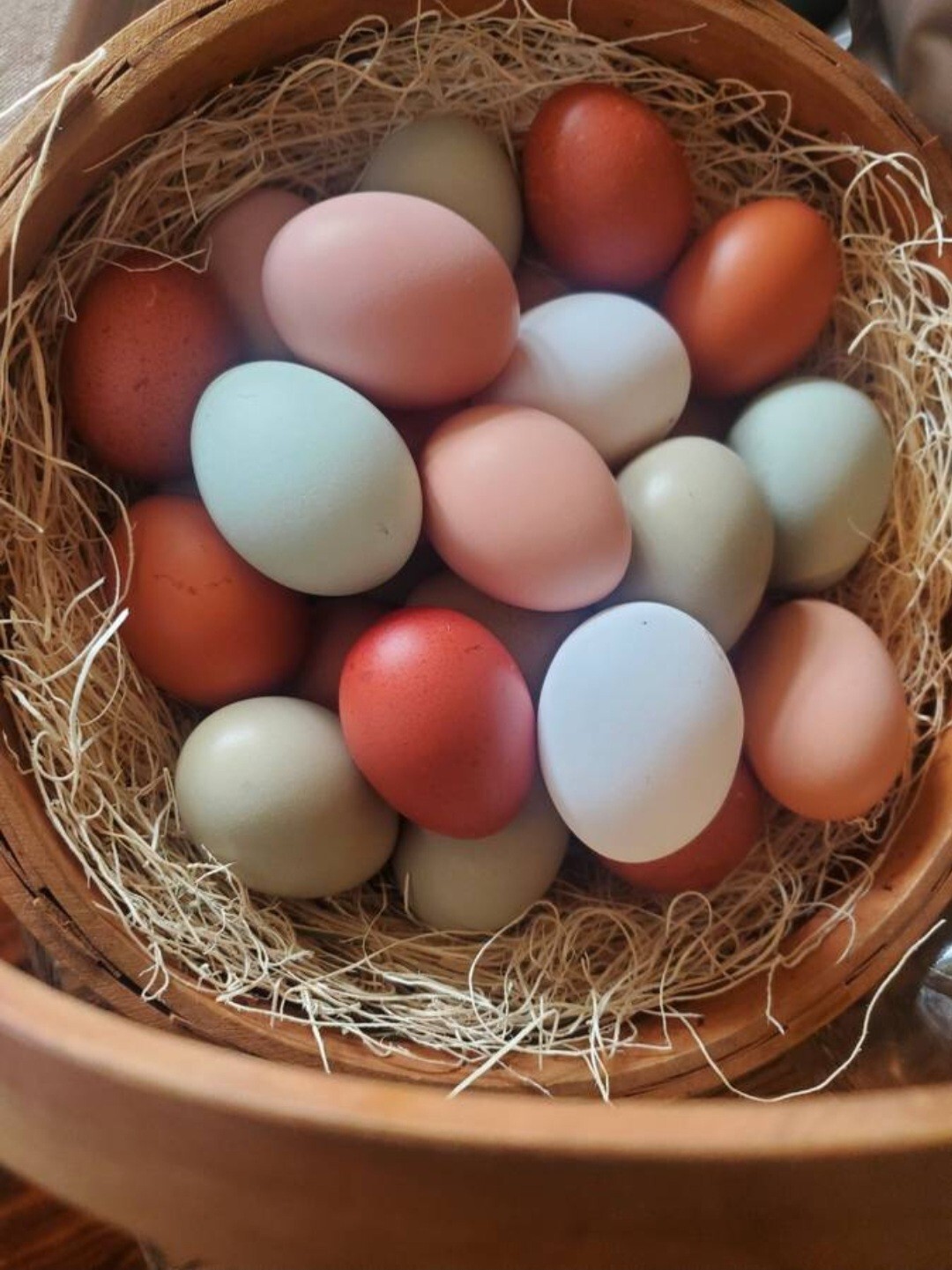 12 Ultimate Mutli-Colored Barnyard Mix HATCHING CHICKEN EGGS (1 Dozen)