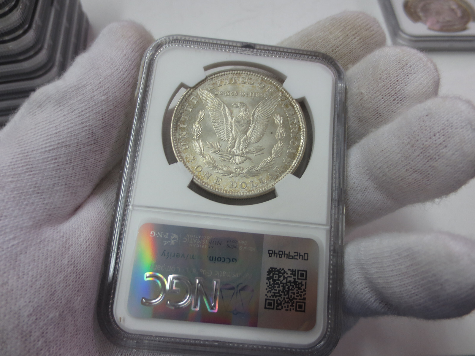 1921-D Morgan Dollar NGC MS62 (015)