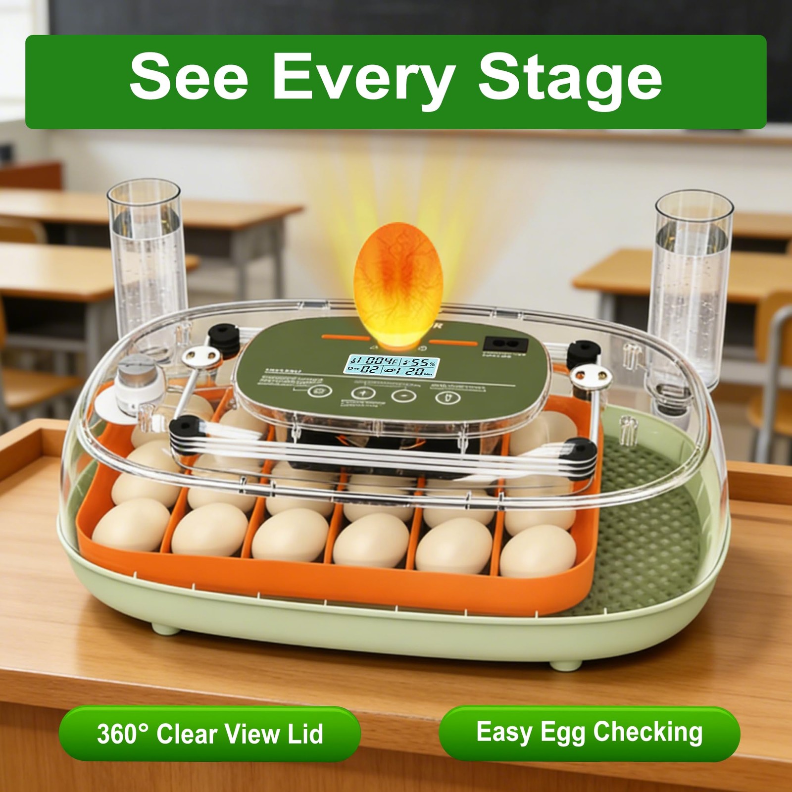 Ovatt 24-Egg Digital Incubator - Automatic Temperature and Humidity Control, ...