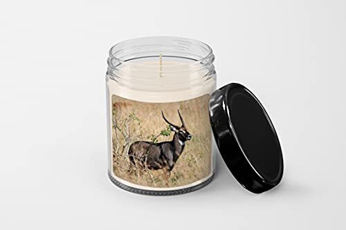 Kubus KOB Candle - Soy Wax Candle - Hand Poured Candle