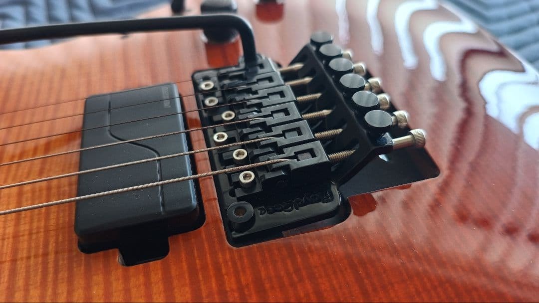 Schecter Electric Guitar C-1 Fr Sls Elite