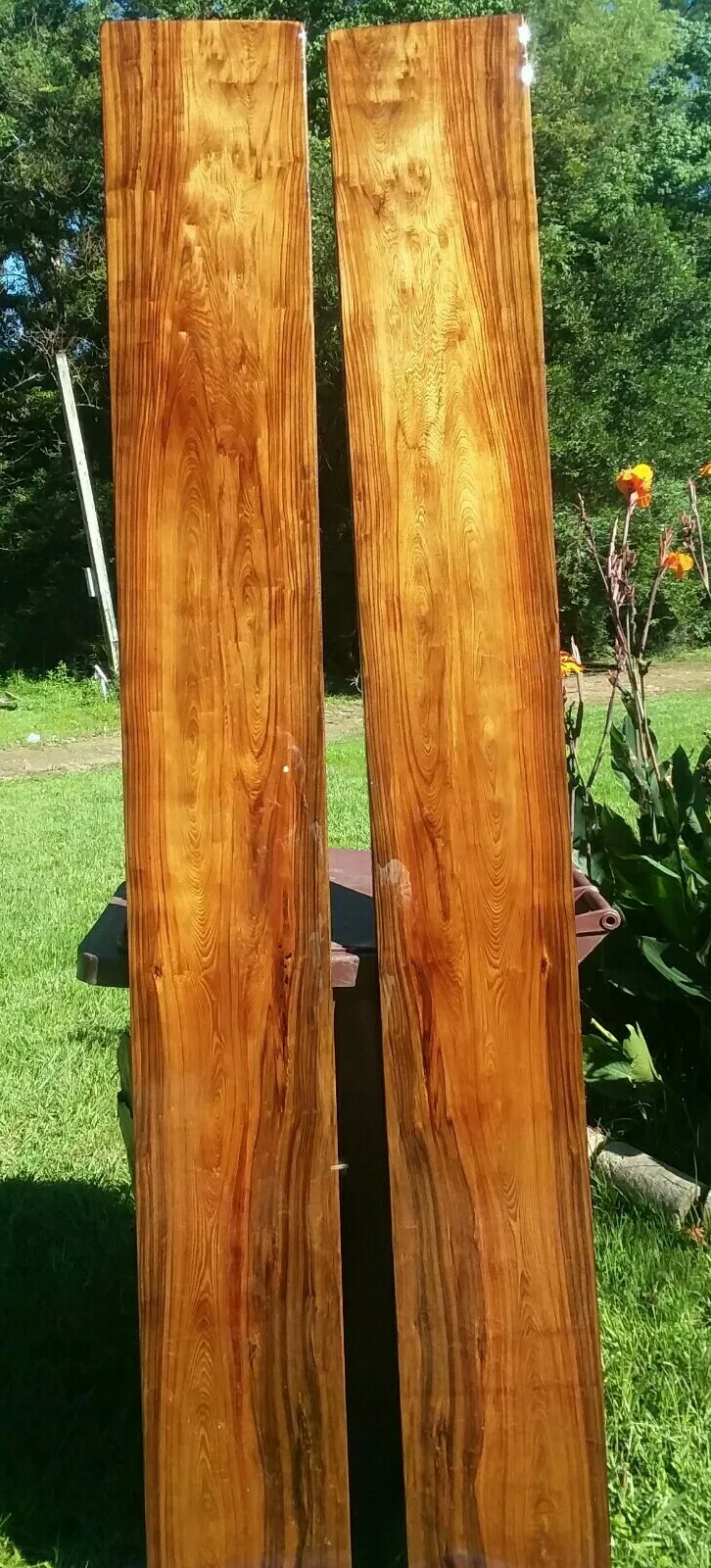 X2 Bookmatched REAL Old Growth Ancient Sinker Cypress Burl Wood Benches w/Bases