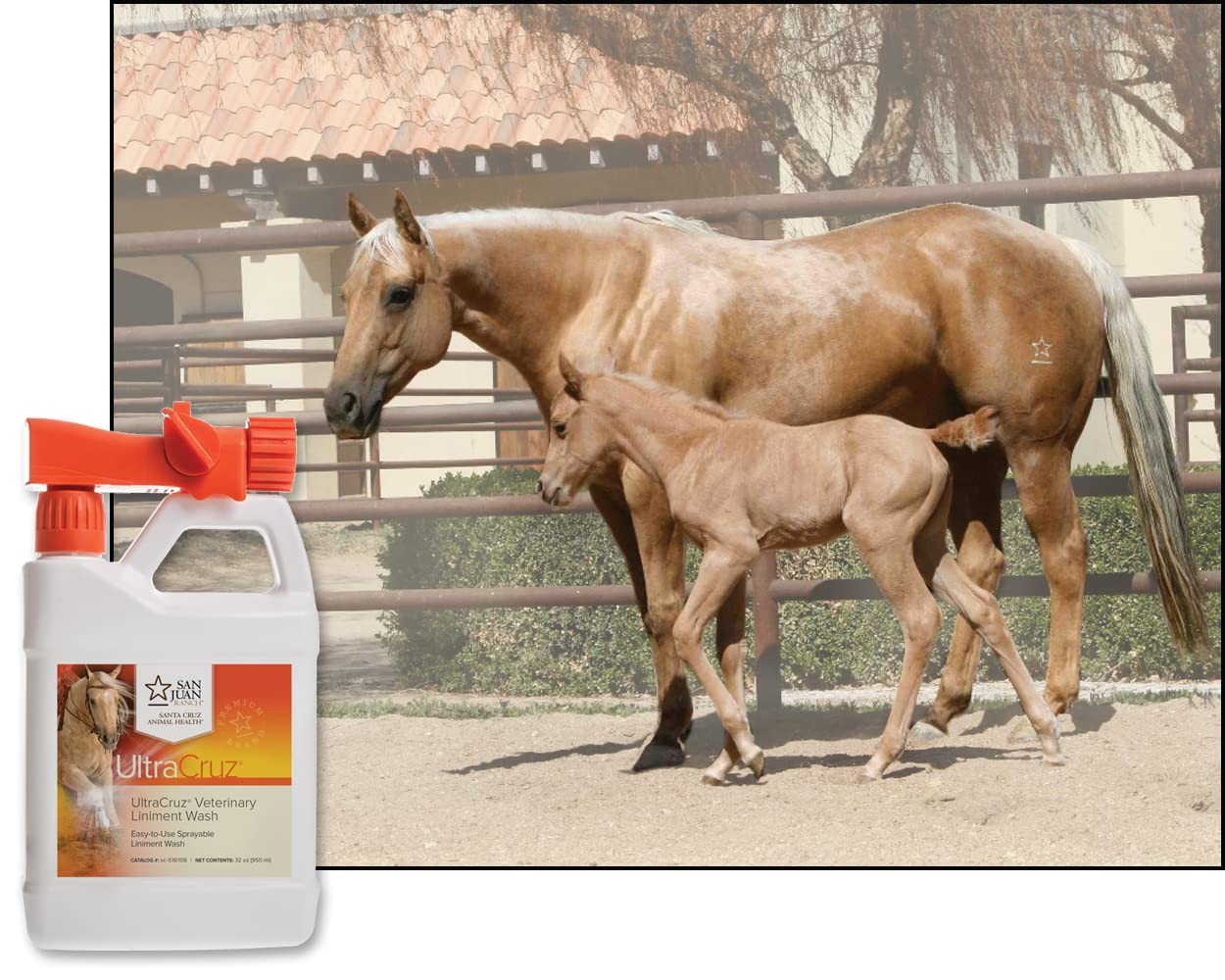 Best UltraCruz Veterinary Liniment Wash for Horses, 32 oz with Travel Sprayer