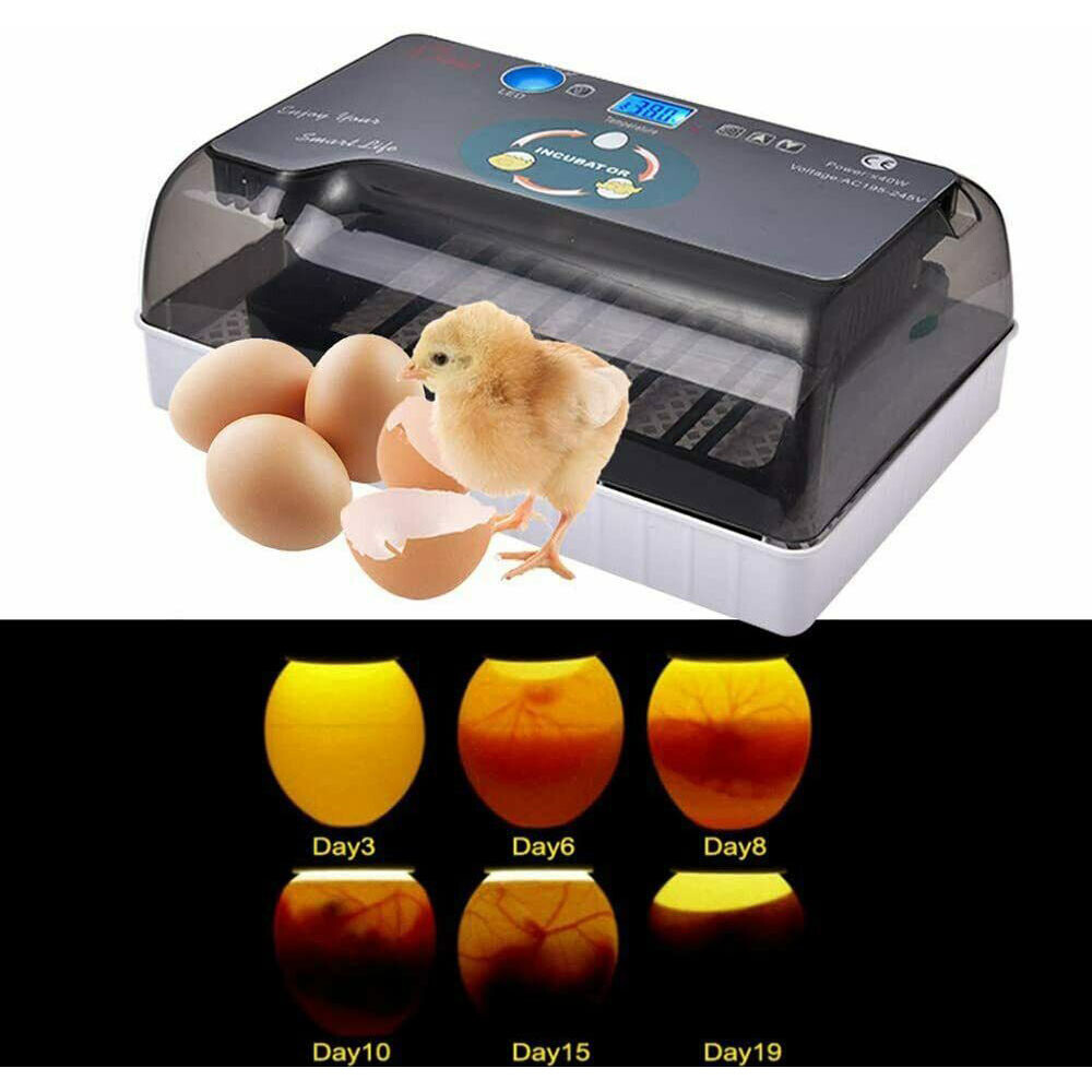 12 Eggs Incubator Automatic Eggs Hatcher For Chicken Quail Poultry Hatching US