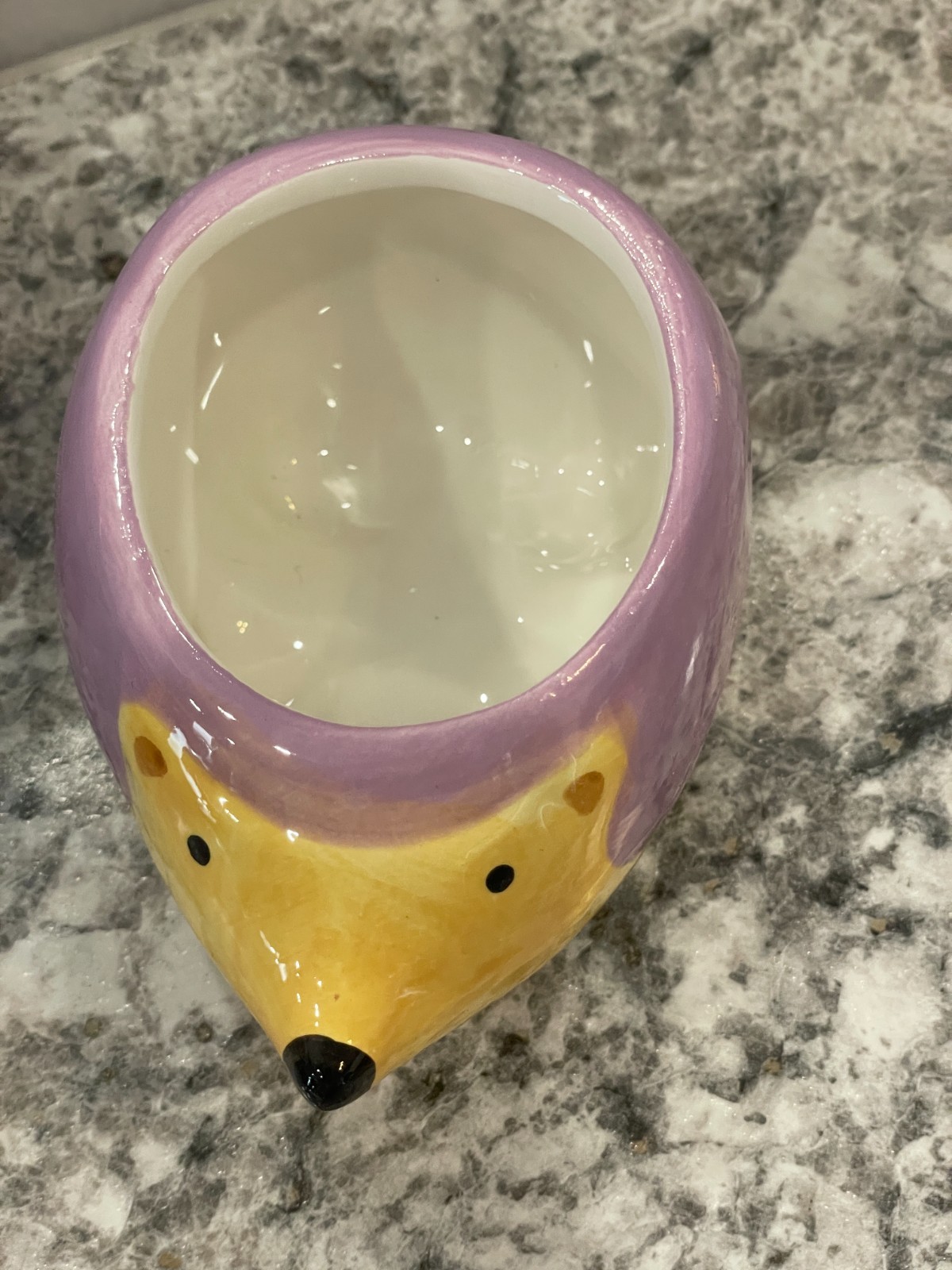 Hedgehog Animal Planter, "Hudson" Ceramic, *****New*****