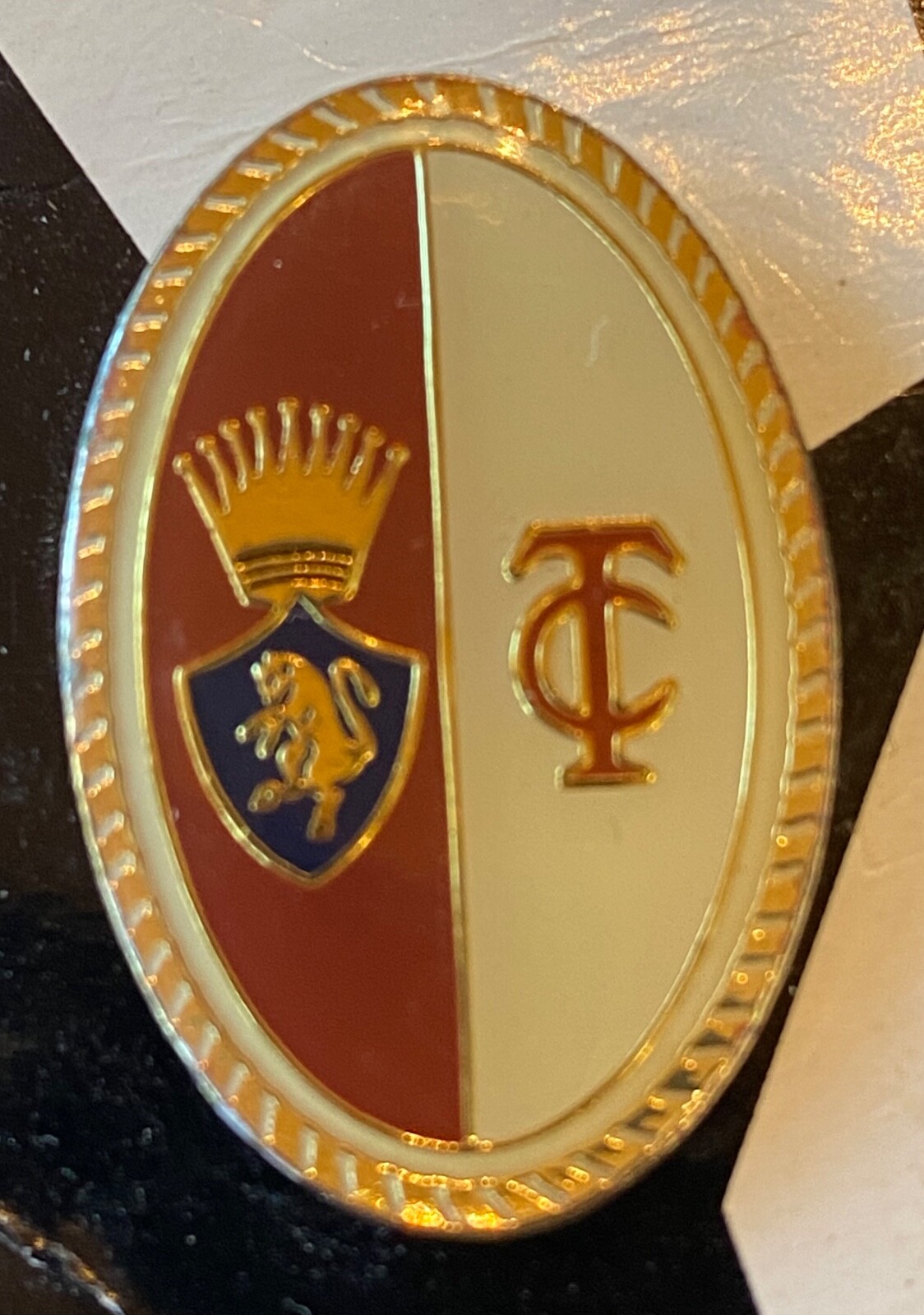 TORINO SOCCER / FOOTBALL CLUB PIN