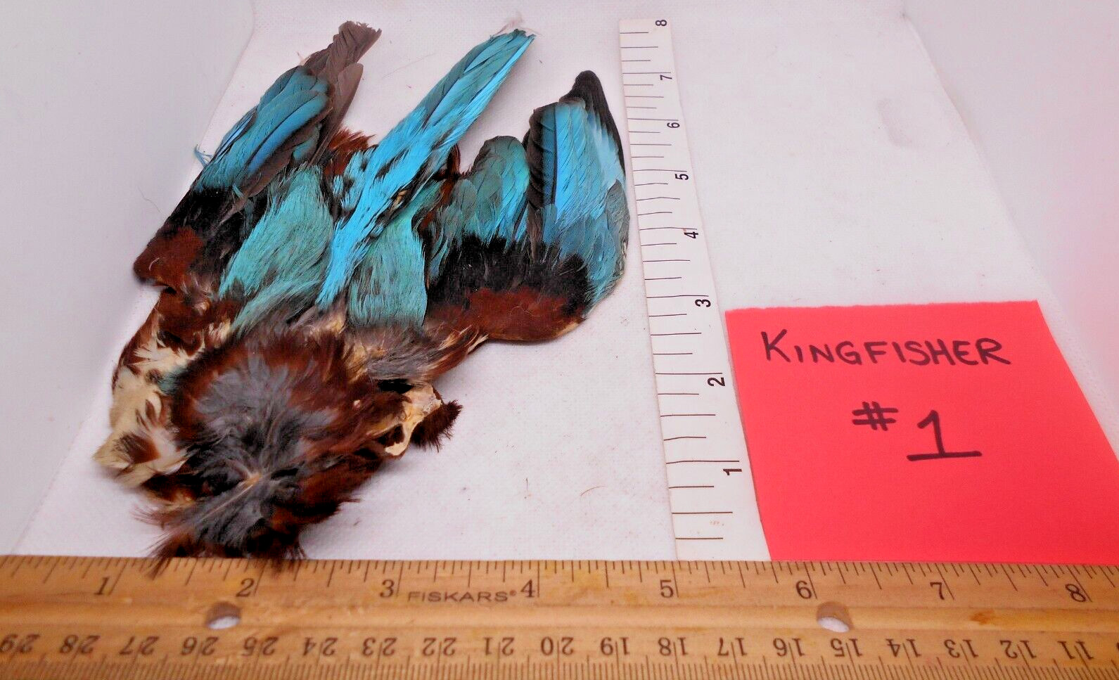Kingfisher Pelt / Skin - For Fly Tying - Feathers