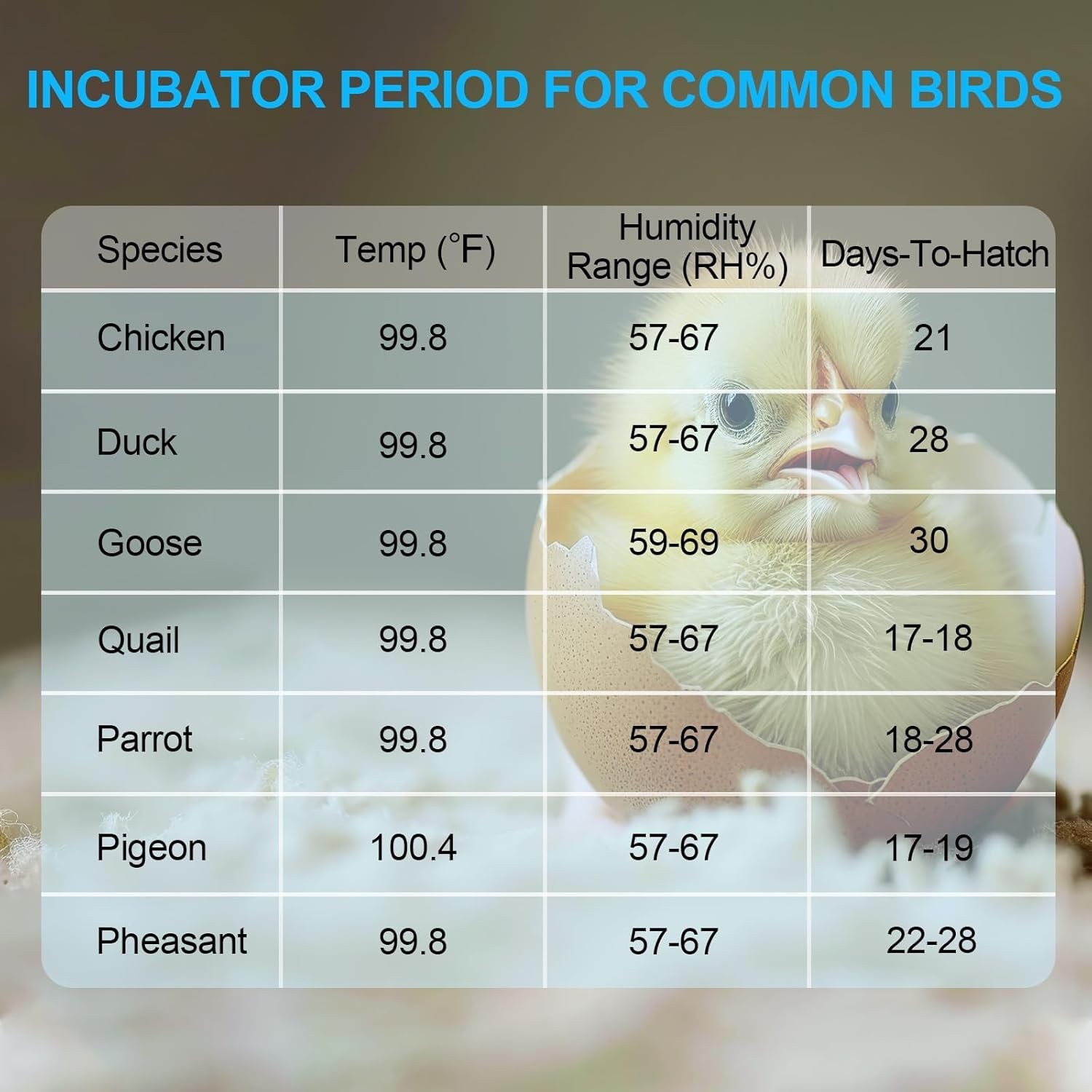 HBN 18 Egg Incubator with Temperature Control, Automatic Egg Turning & Humidity