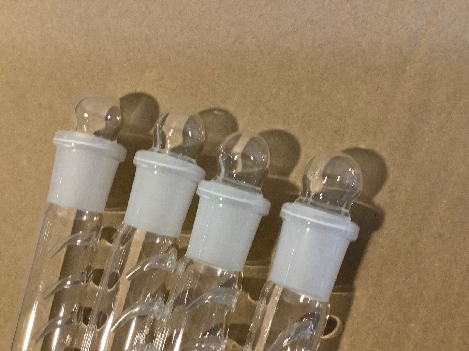 4 Pack Planaria Traps, Clear Glass