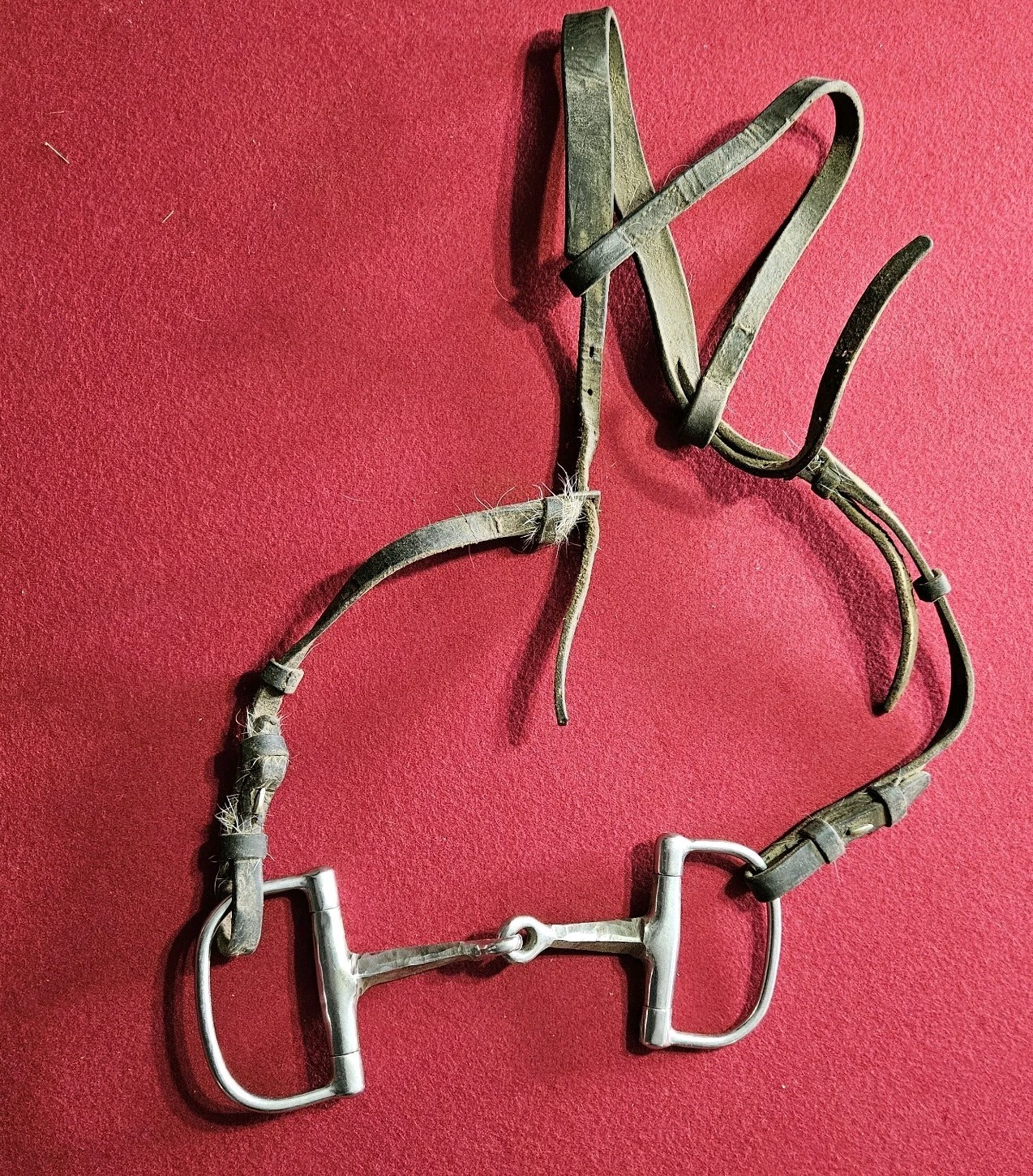 D Ring Snaffle Bit Stainless Steel – Single Joint 5" Horse Riding Tack W/ Halter
