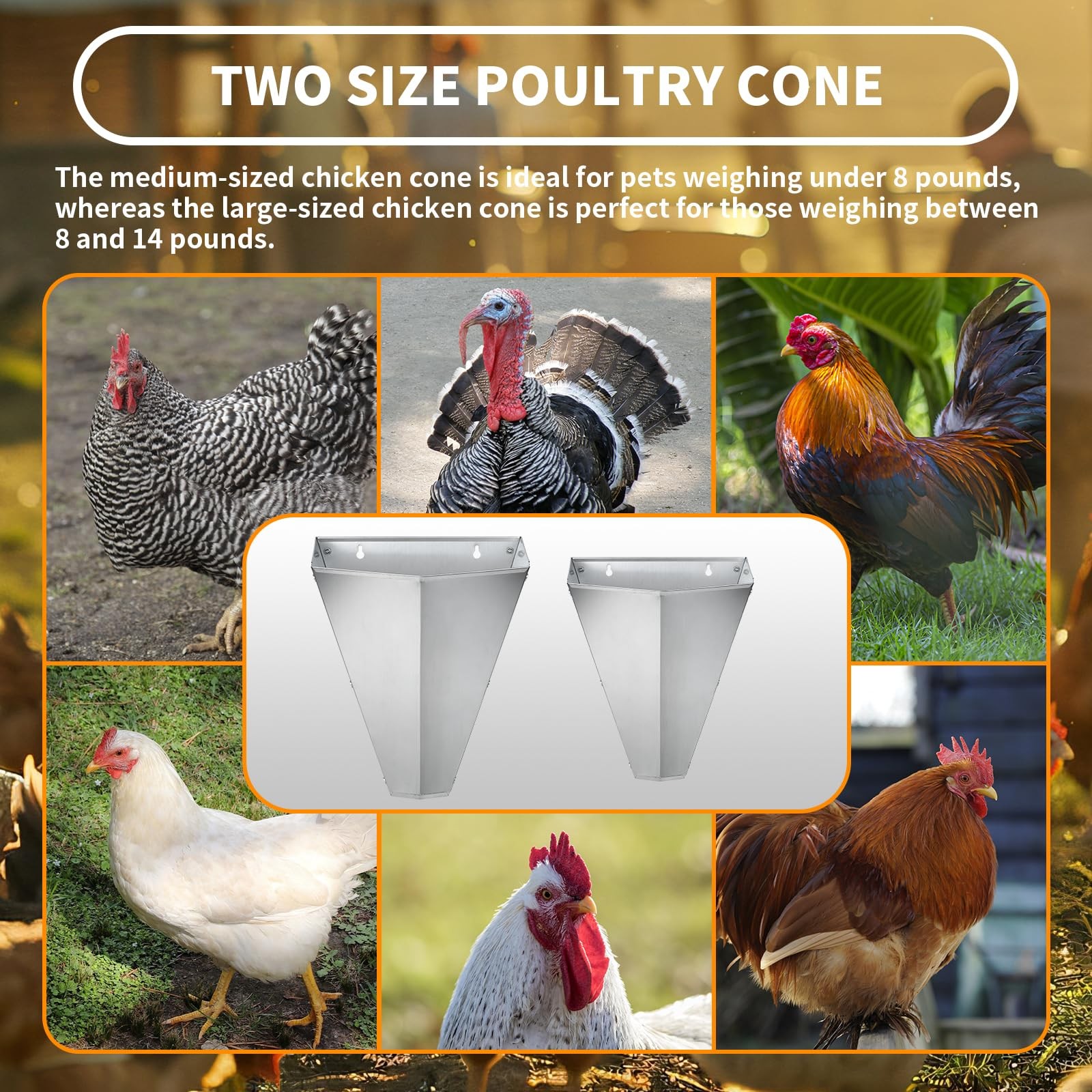 Large Chicken Cone Butchering Stainless Kill Poultry Processing 8lb Equipment