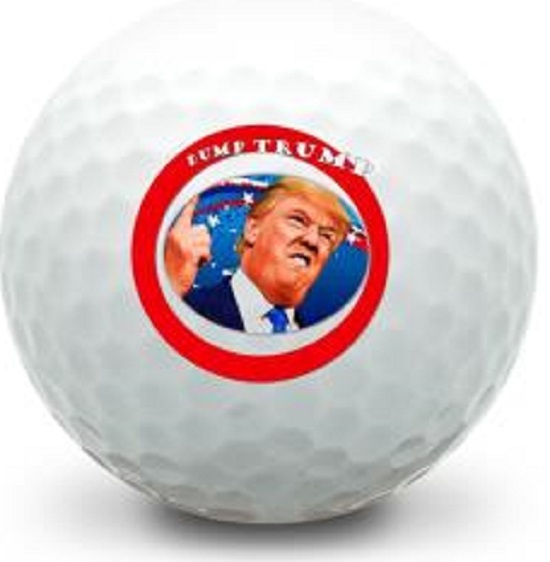 3 Dozen Bridgestone E6 Mint / AAAAA DUMP TRUMP LOGO Used Golf Balls