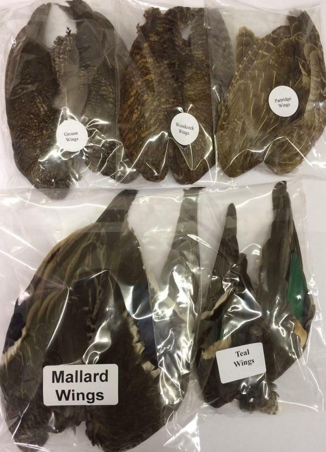 Pair of Wings for Fly Tying - various wing options