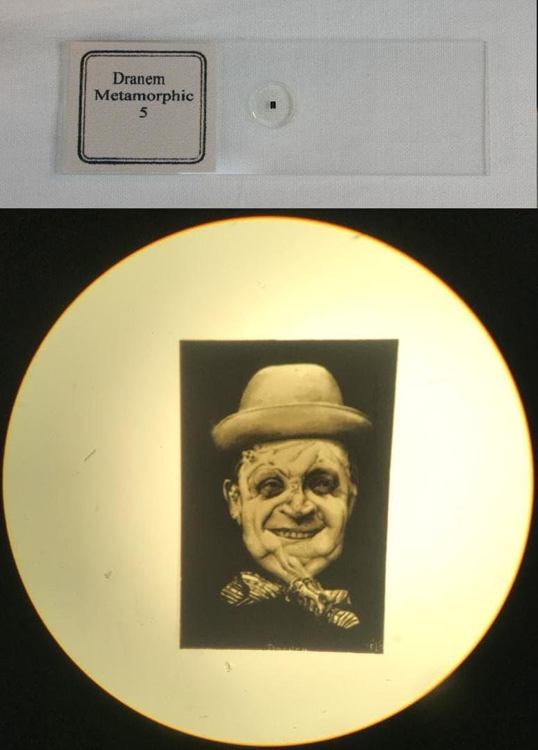 Antique Microscope Slide Set Metamorphic Bismarck Bernhardt Picasso Wagner c2001