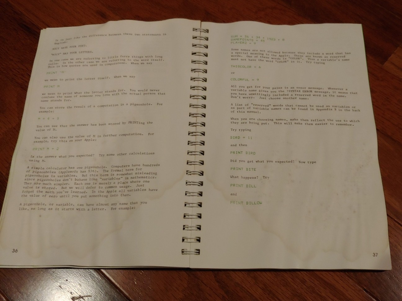 The Applesoft Tutorial Original Manual Apple Computer - 1981