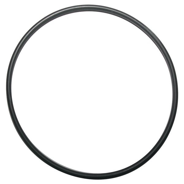 Pentair EasyClean Filter System Body O-Ring 87300400Z
