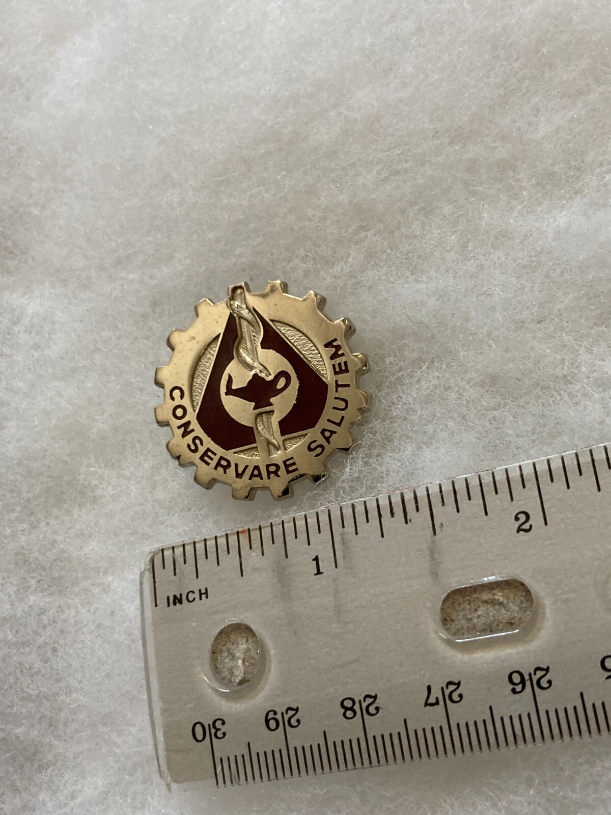 Authentic US Army Environmental Hygiene Agency DI DUI Crest Insignia D-21 1A