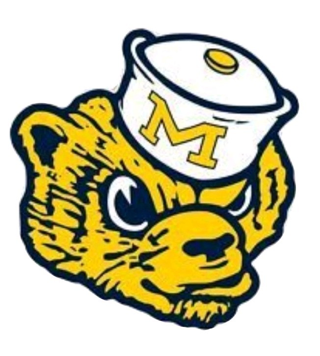 Michigan Wolverines Sticker NCAA Football Die Cut Laminated