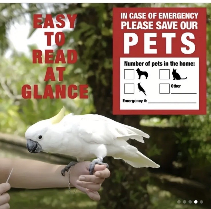 10 PACK Red Pets Inside Alert 4" Rescue Emergency Fire Window Stickers Decals