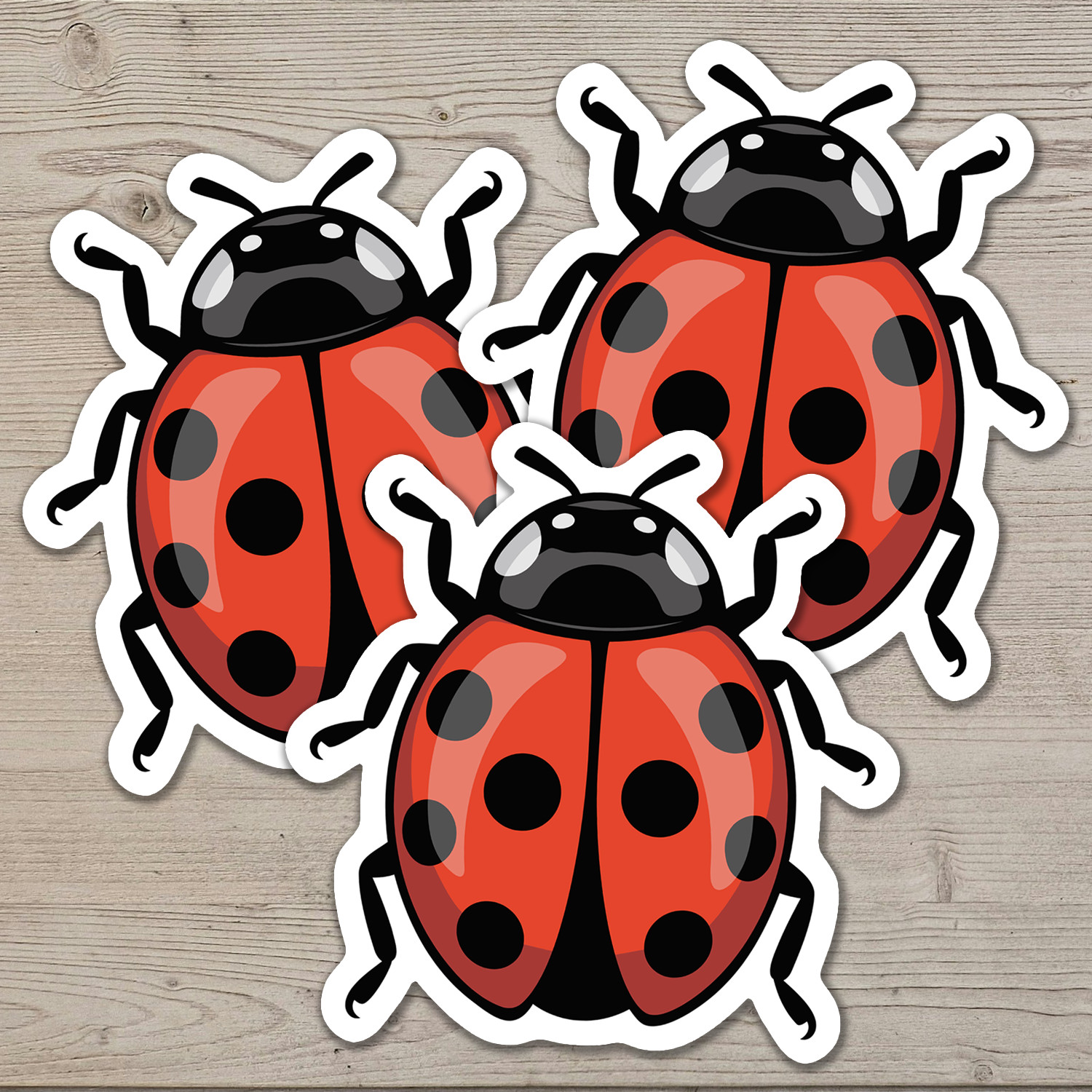 2" Ladybug Stickers Bundle 10 Pack - Bugs Insects Decal Sticker Ladybugs Insect