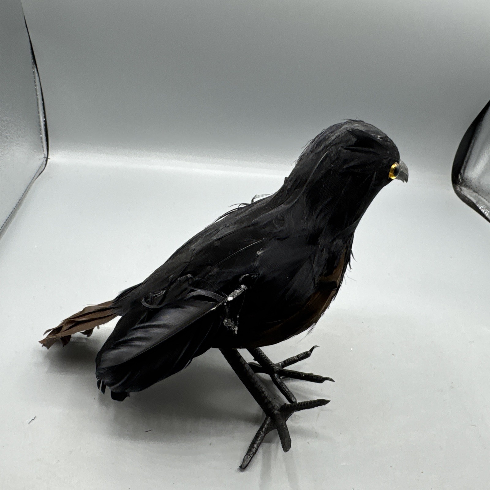 5 PCS Black Feathered Crows Halloween Ravens