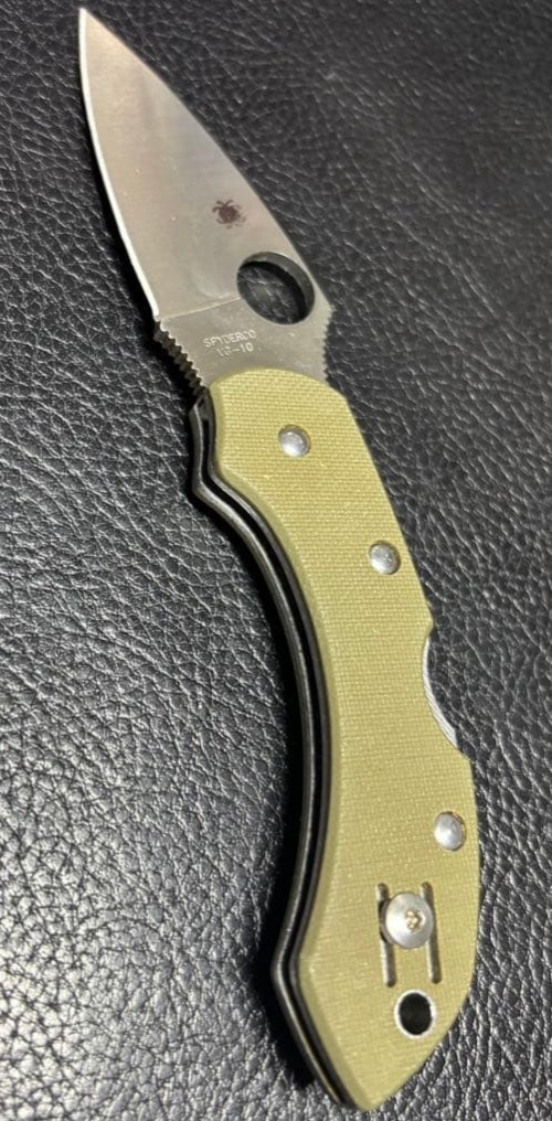 Spyderco Dragonfly G10 Foliage Green Folding Knife Lightweight EDC
