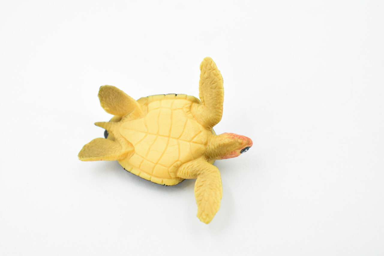 Turtle, Loggerhead Sea Turtle, Realistic Toy, Model, Gift, 2 1/2" CH408 BB108