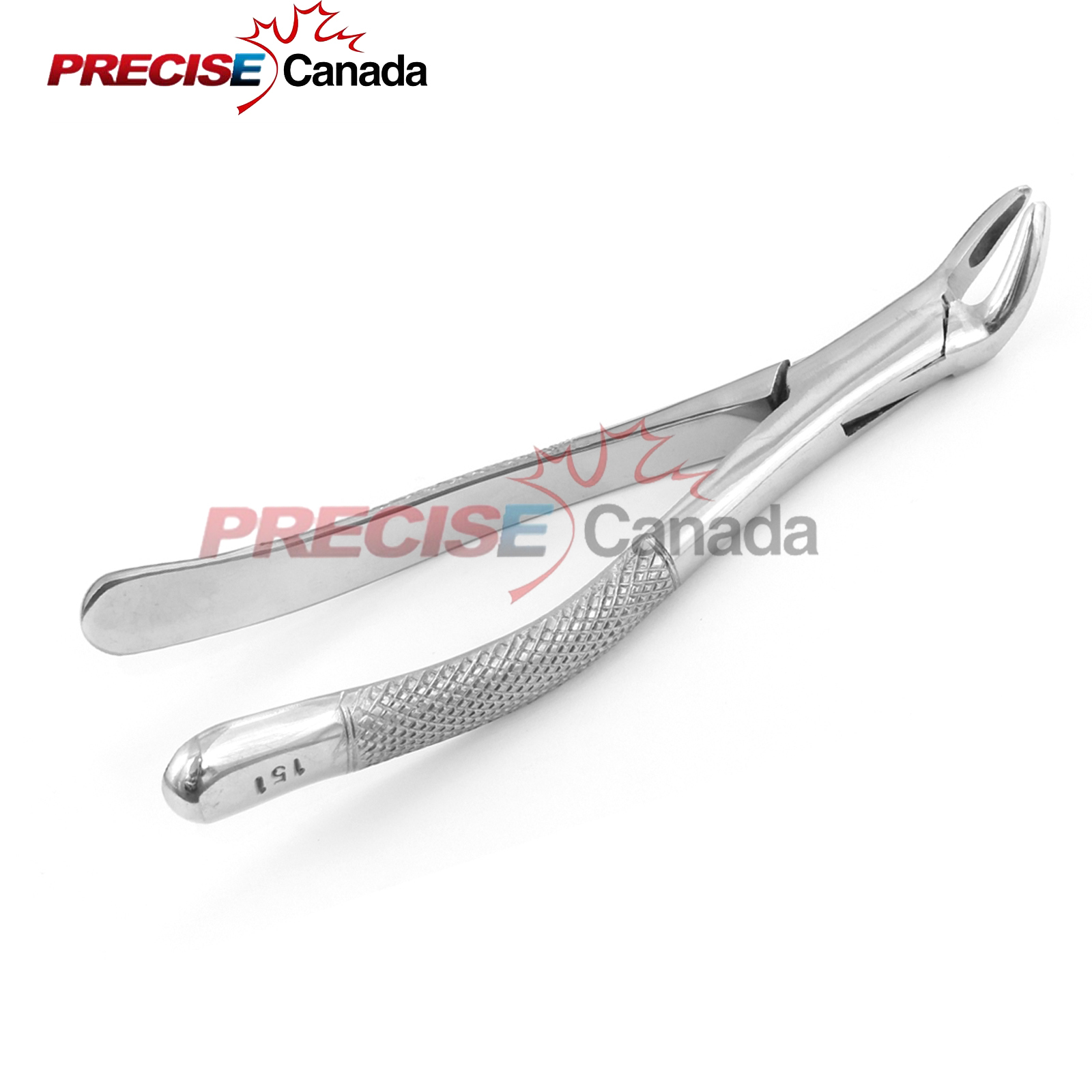 Tooth Extracting Forceps # 151 Serrated Dental Surgical Instruments