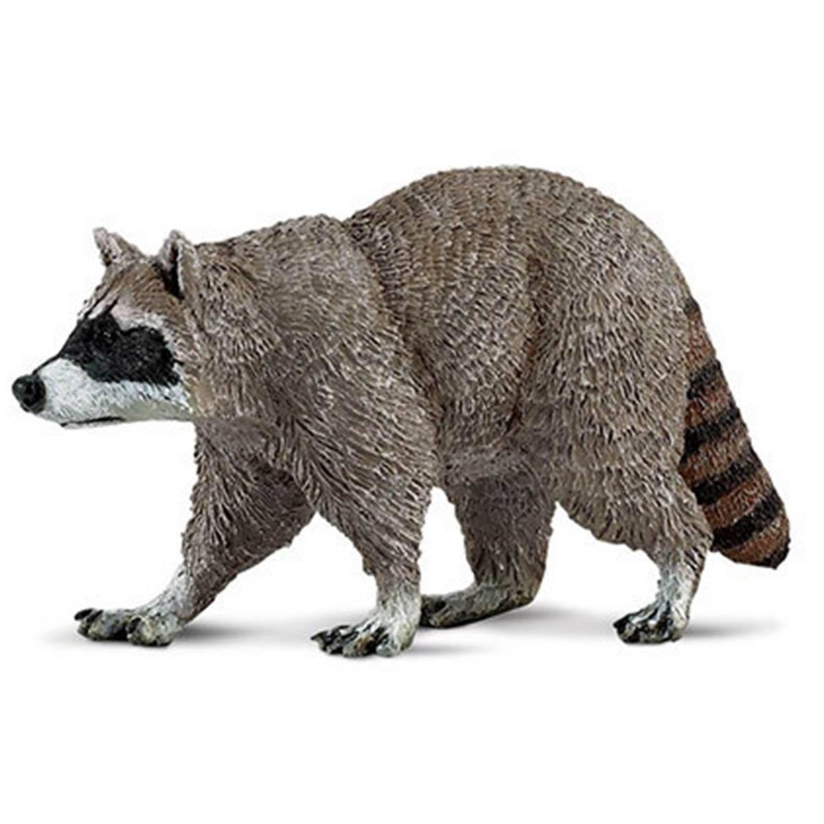 Raccoon North American Wildlife Figure Safari Ltd NEW IN STOCK