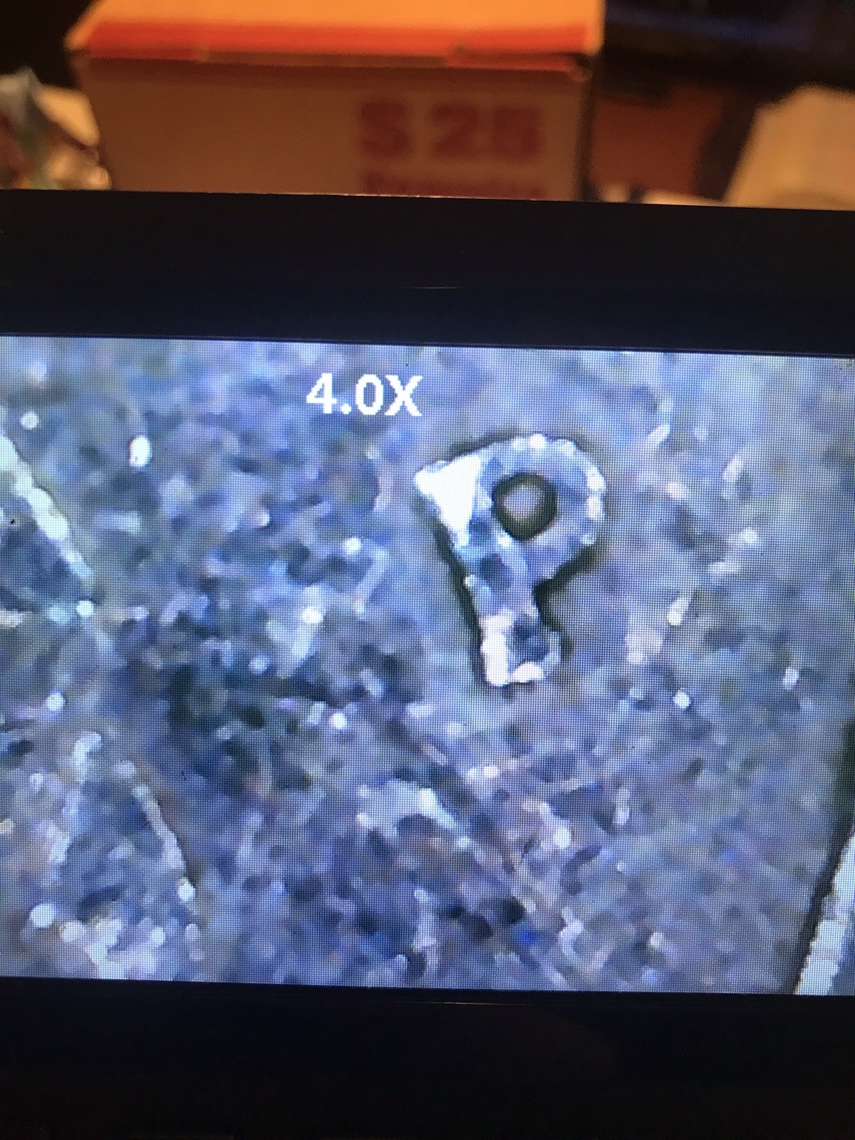 1985 P washington Strike Through quarter and Errors.