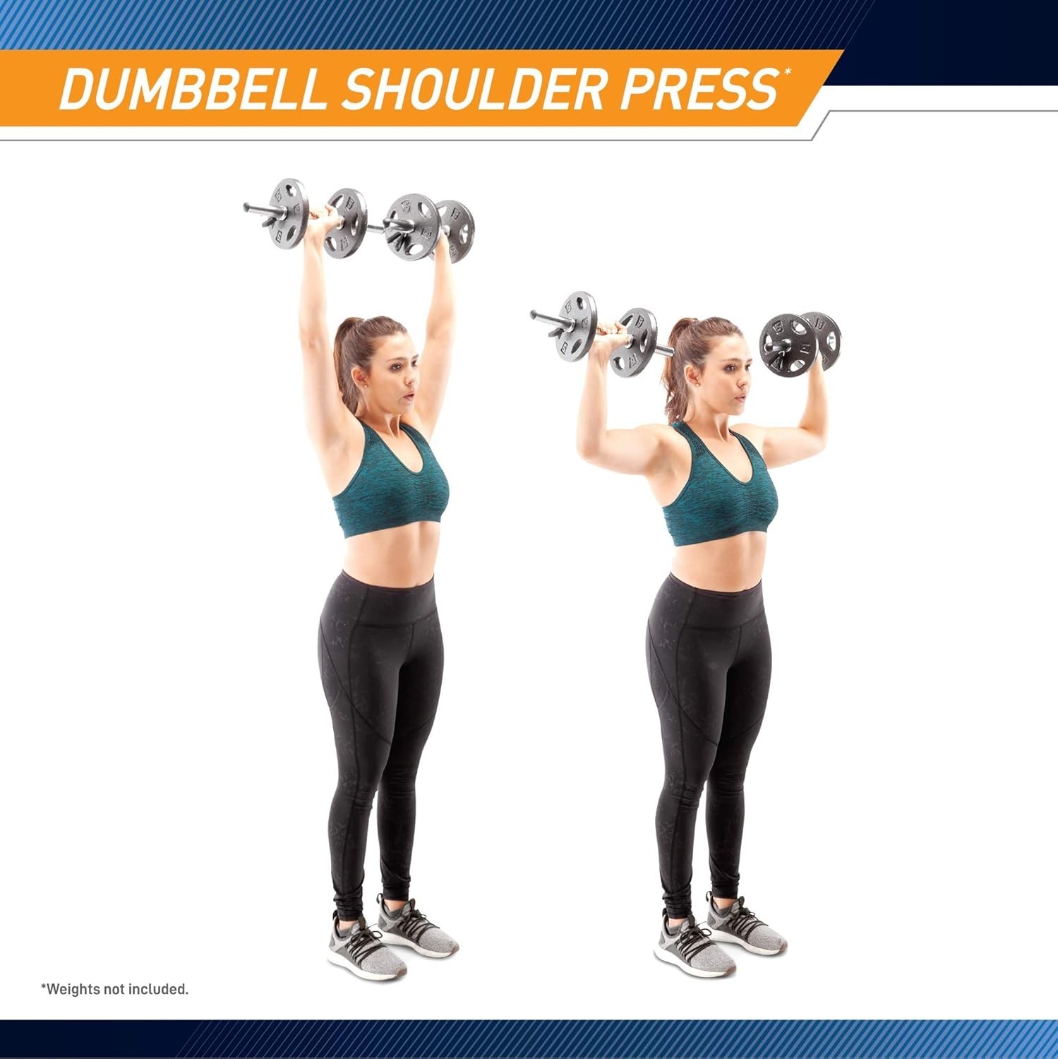 Hollow Curl Bar and Dumbbell Handle Set with Spring Collars