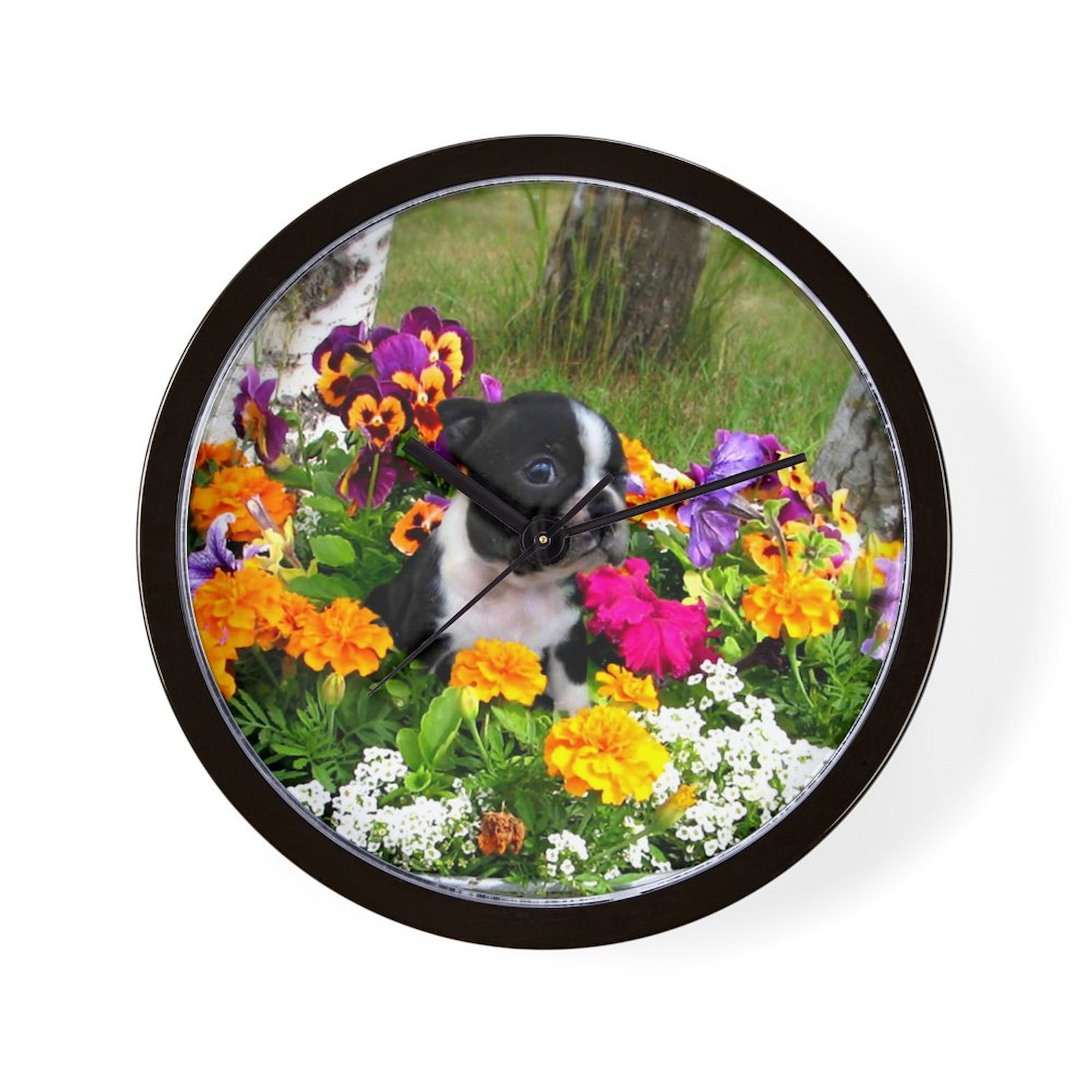 CafePress Boston Terrier 10" Wall Clock (641169905)