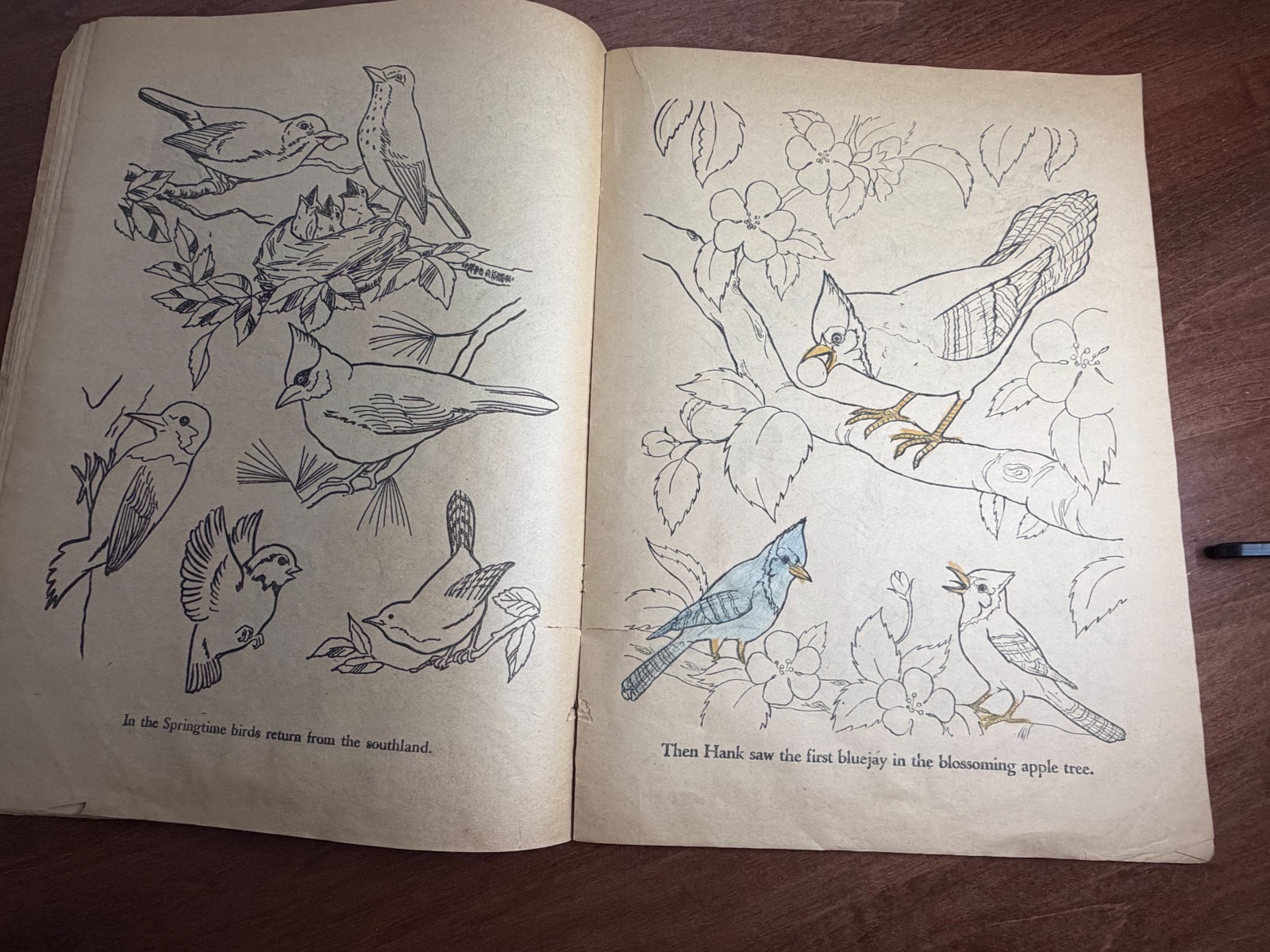 1960's Large Wise Owl Coloring book. (Q)