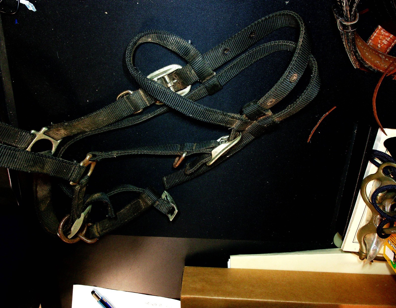 NYlon Horse Halther
