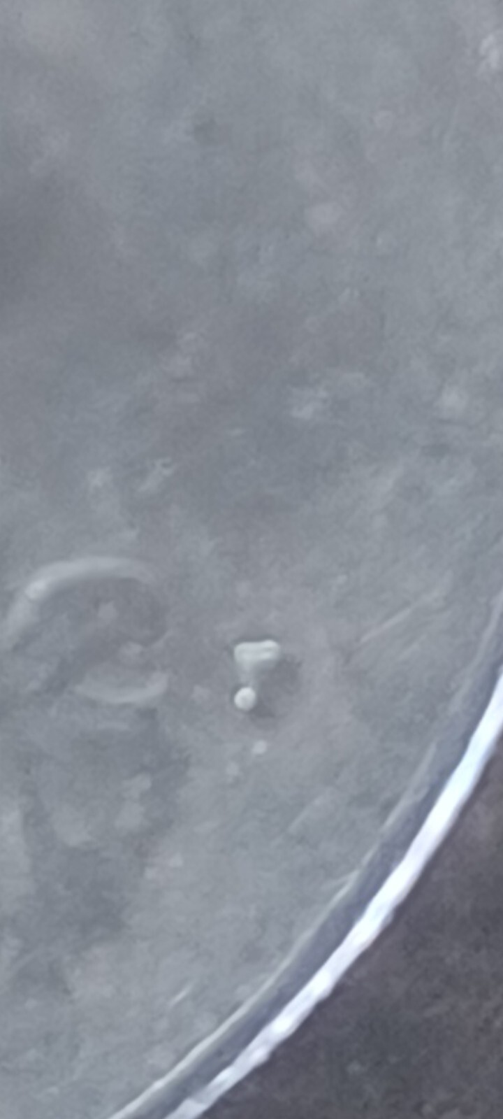 1984 - P - Washington Quarter Mint Error