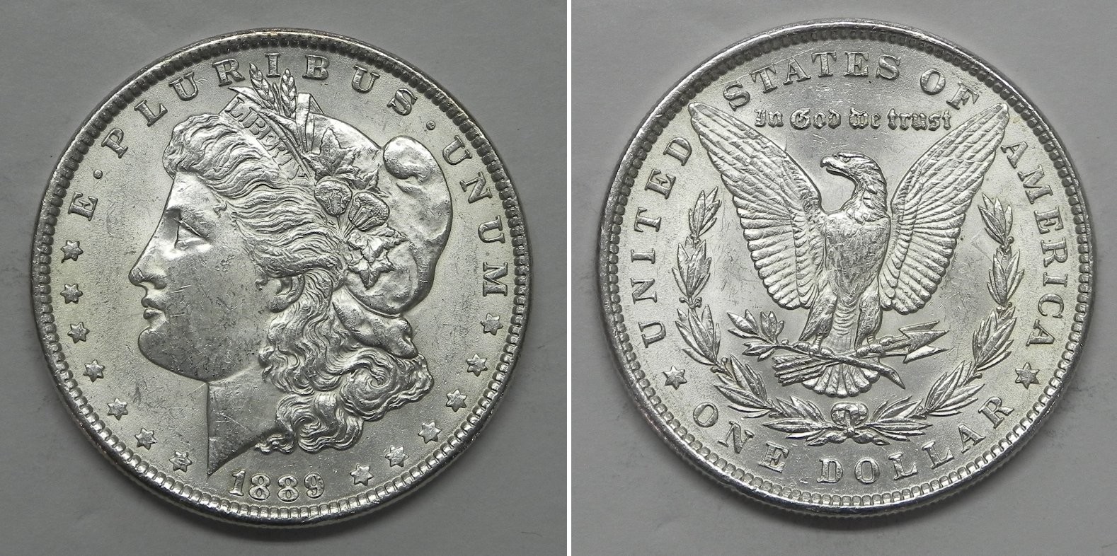 X7513  1889 Morgan Dollar, Choice BU