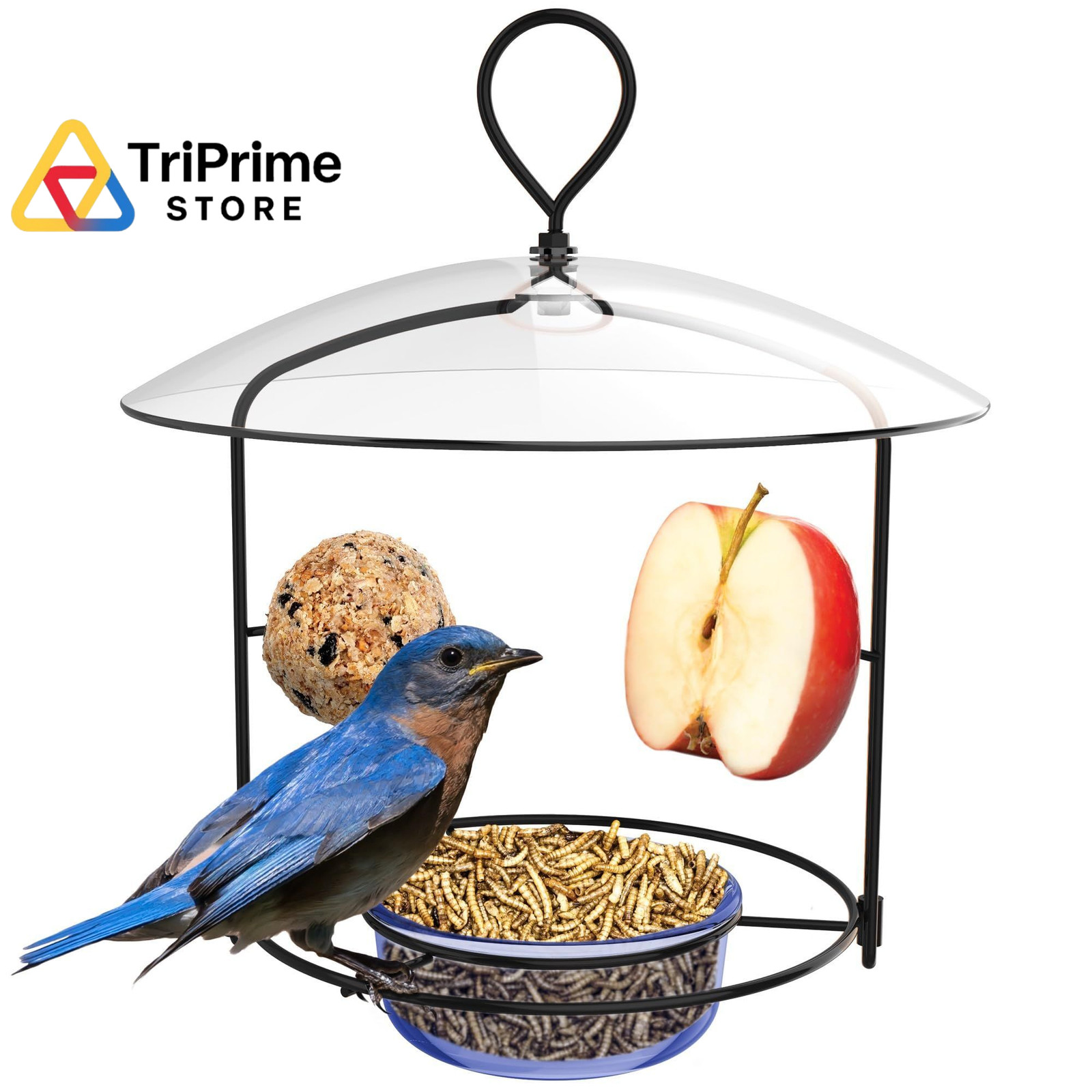 Nature's Way BBFM1 Bluebird Buffet Metal Bird Feeder with Protective Blue