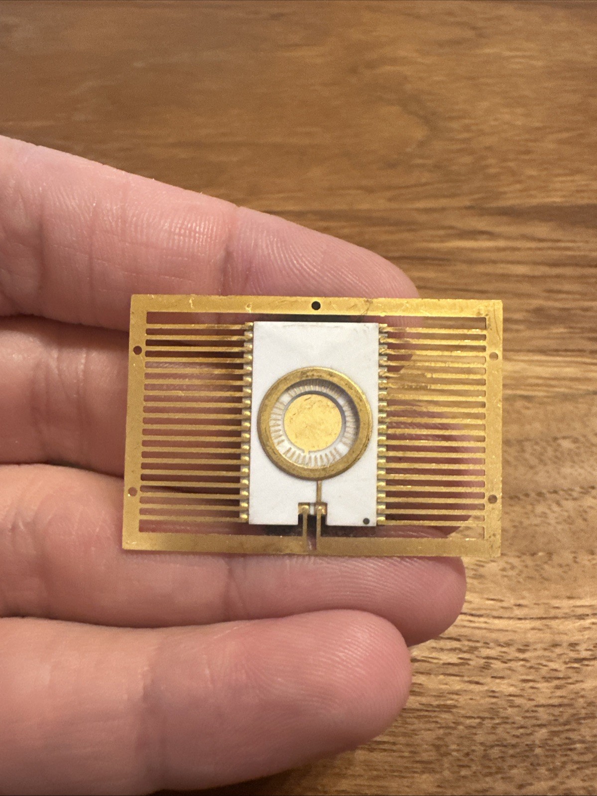 Vintage Unfinished Ceramic Integrated Circuit Housing
