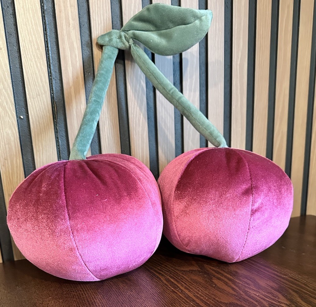 Room Essentials Pink Cherries Velvet Plush 14" Throw Pillow