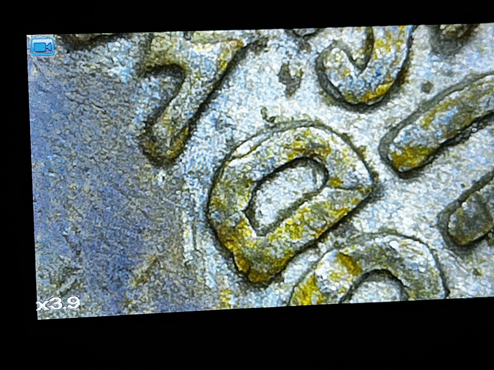 1979 Quarter Filled D Error, Stunning