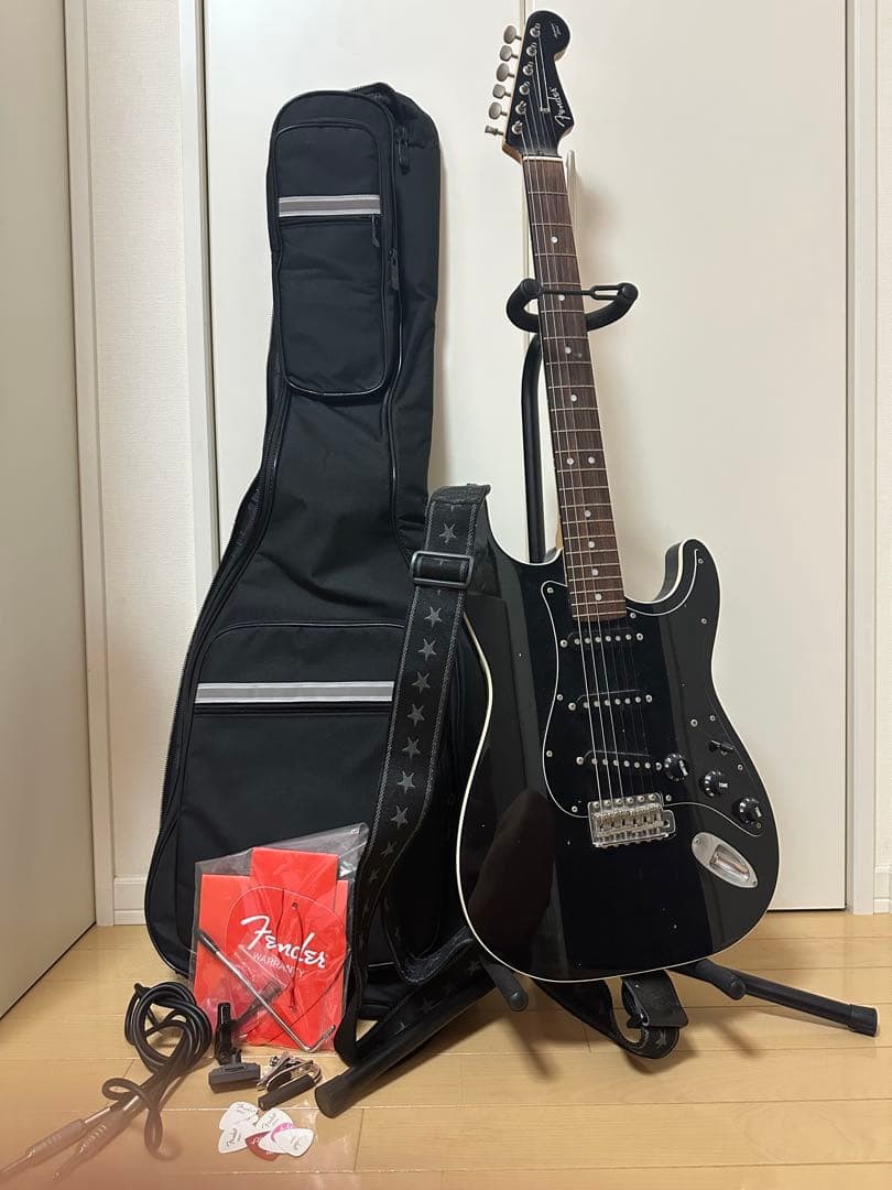 Fender Electric Guitar Body Set
