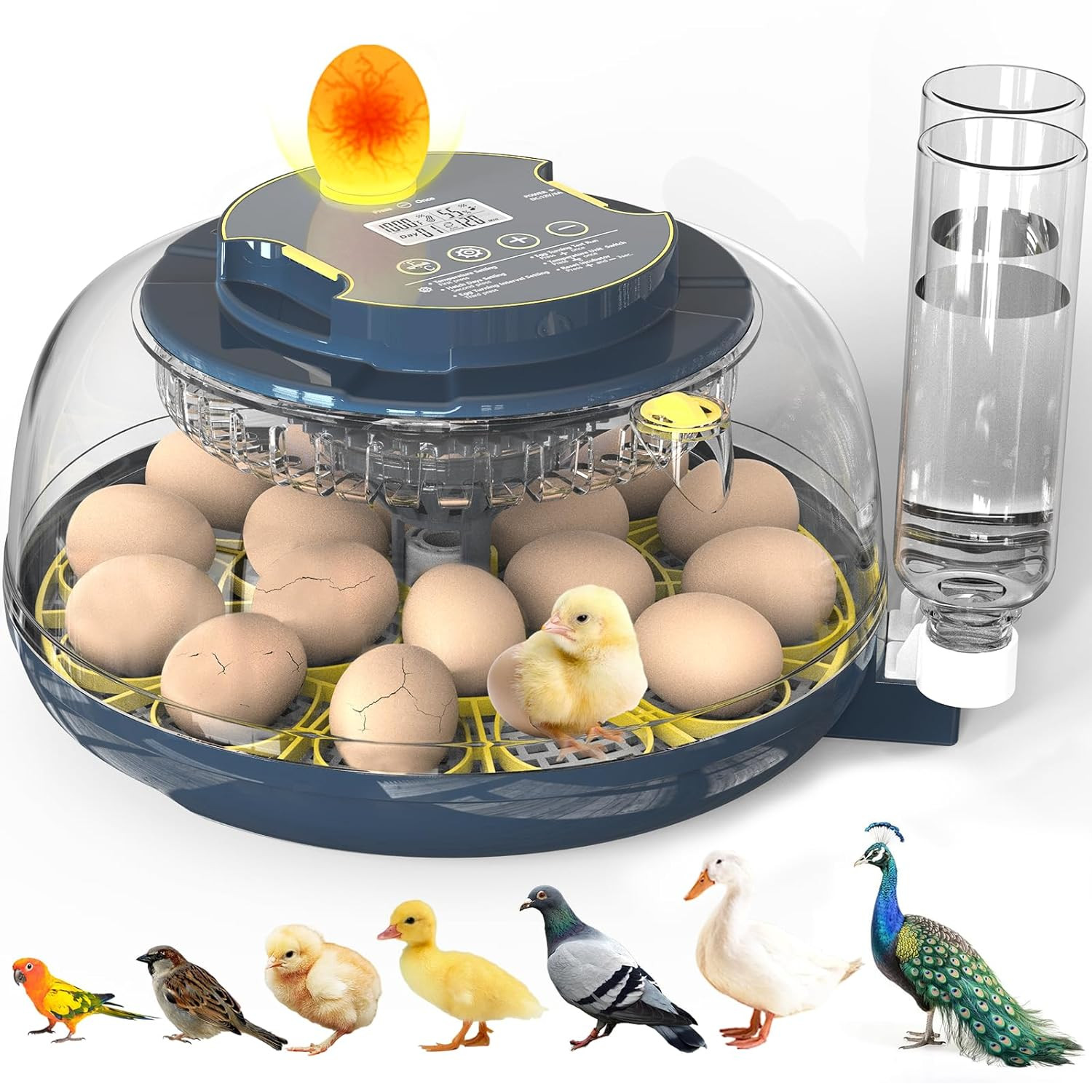 Incubators for Hatching Eggs, 18 Eggs Incubator with Egg Candler, Auto Egg Turne