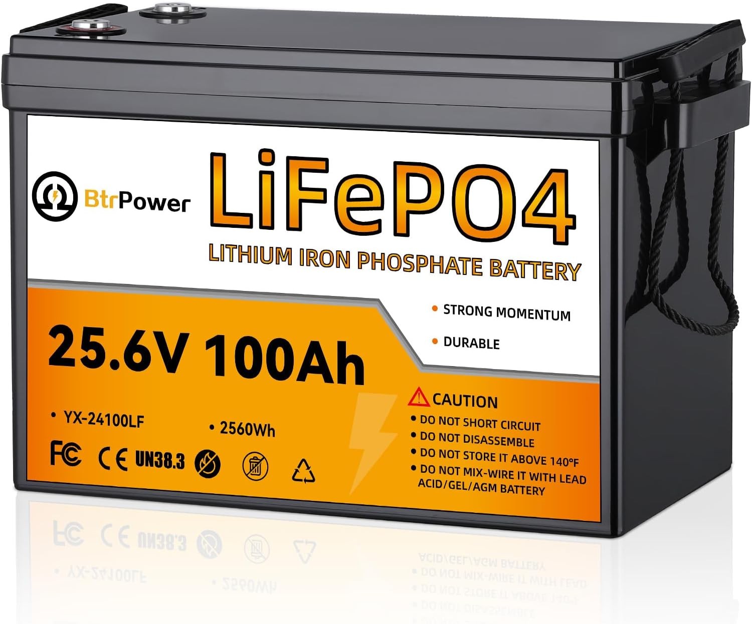 24V 100Ah LiFePO4 Battery Pack Lithium for RV Marine Solar System with 100A BMS