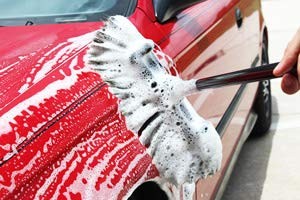 SPEED MASTER Car Wash Brush with Handle