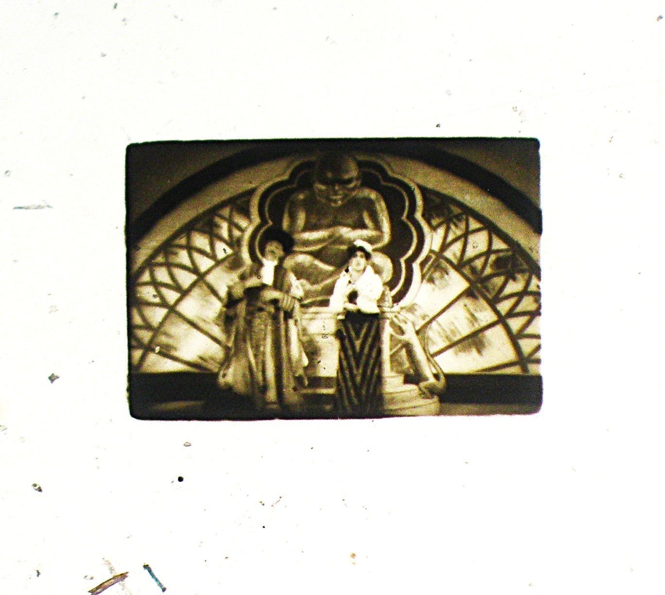 6 Vintage Microphotograph Slides. Please Read Labels for Descriptions.